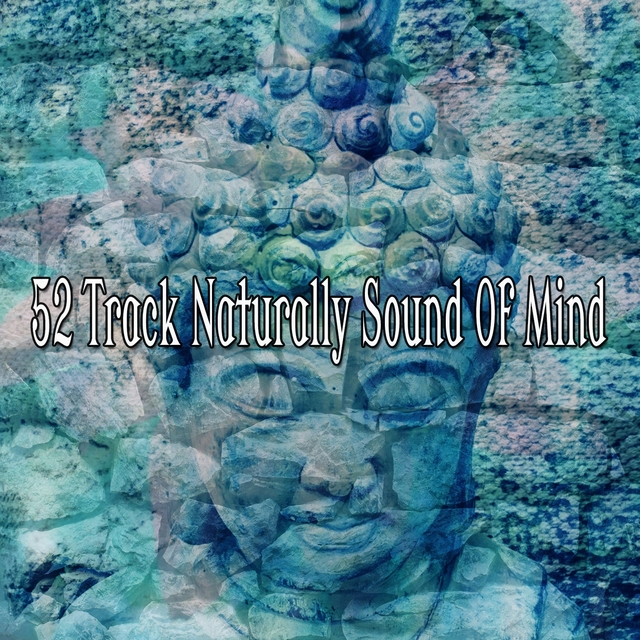 Couverture de 52 Track Naturally Sound Of Mind