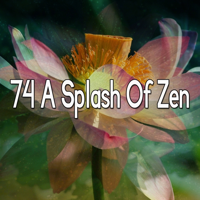 Couverture de 74 A Splash Of Zen