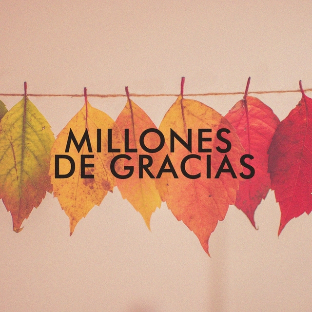 Millones de Gracias