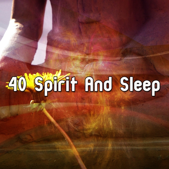 40 Spirit And Sleep
