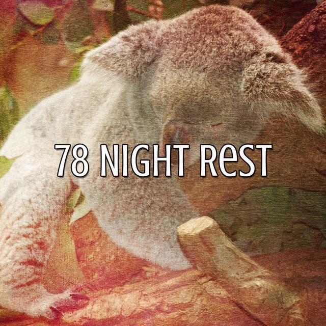 78 Night Rest