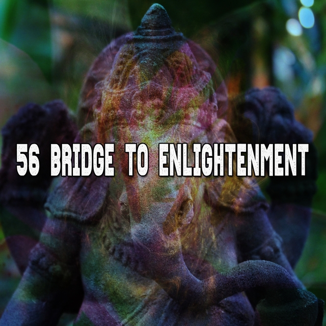 Couverture de 56 Bridge To Enlightenment