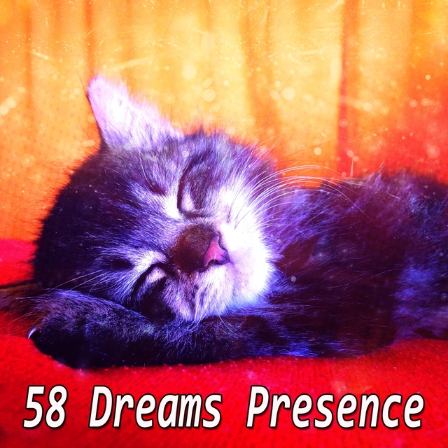 58 Dreams Presence