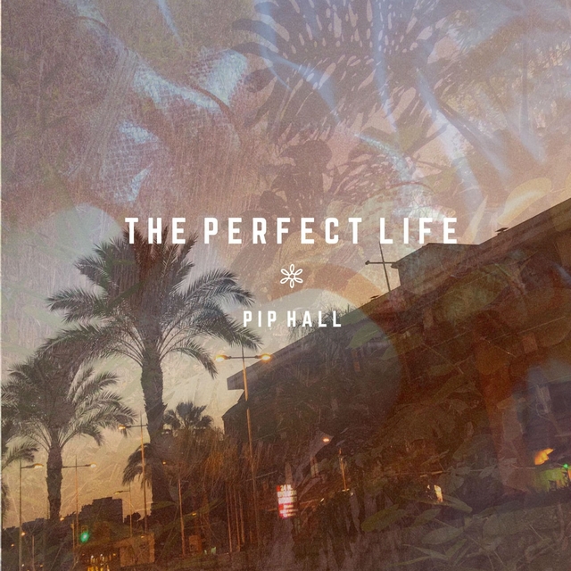 Couverture de The Perfect Life