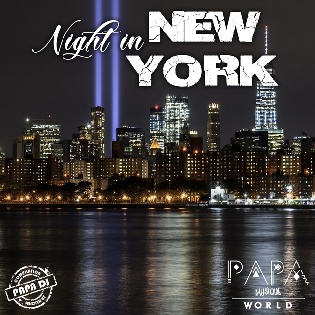 Couverture de Night in New York