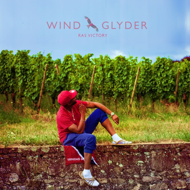 Couverture de Wind Glyder