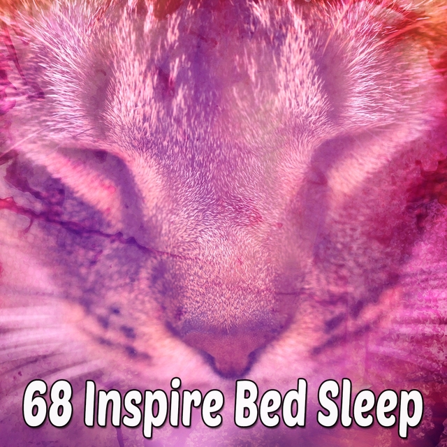 Couverture de 68 Inspire Bed Sleep
