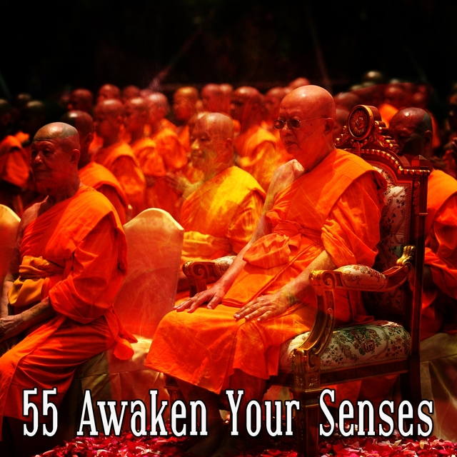 Couverture de 55 Awaken Your Senses