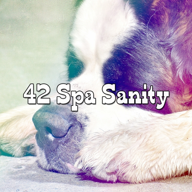 Couverture de 42 Spa Sanity