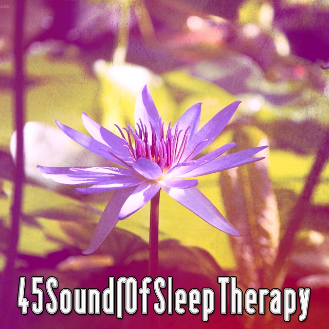 Couverture de 45 Sounds Of Sleep Therapy