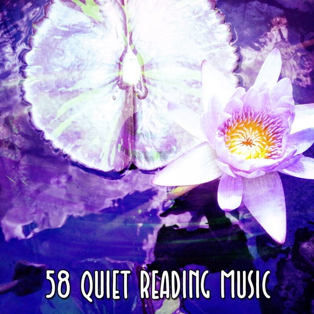 58 Quiet Reading Music