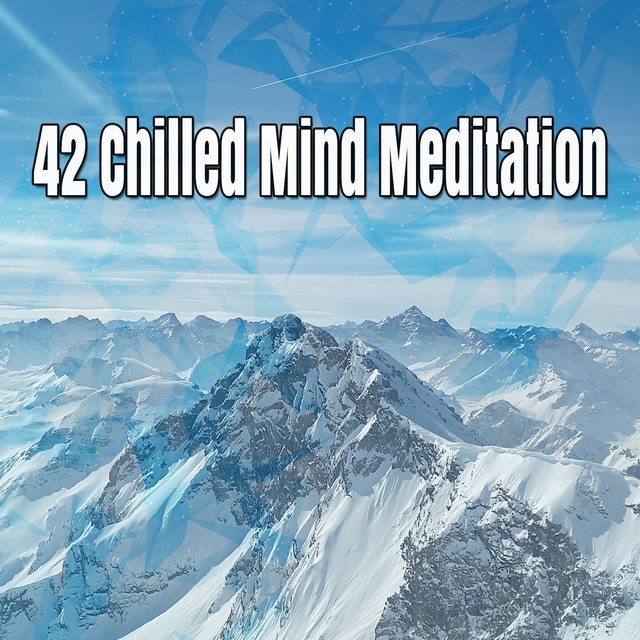 Couverture de 42 Chilled Mind Meditation