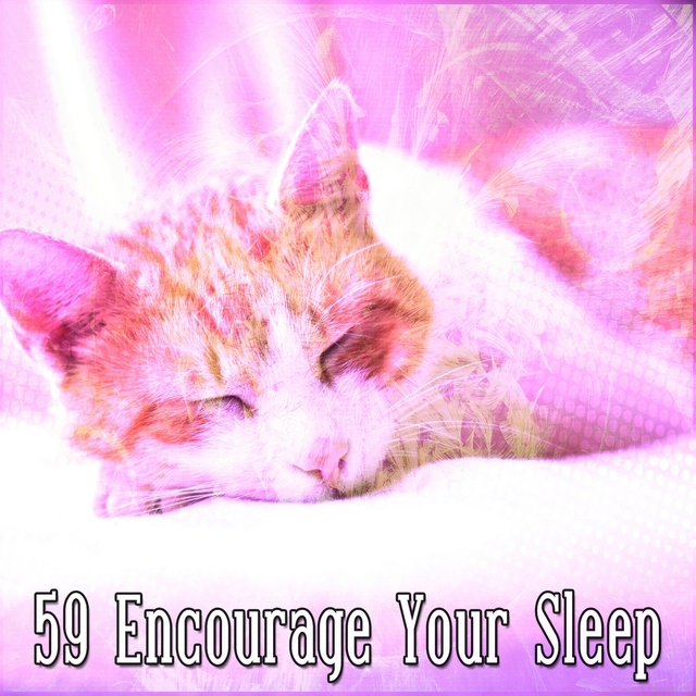 Couverture de 59 Encourage Your Sleep