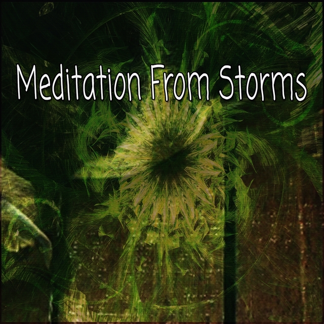 Couverture de Meditation From Storms