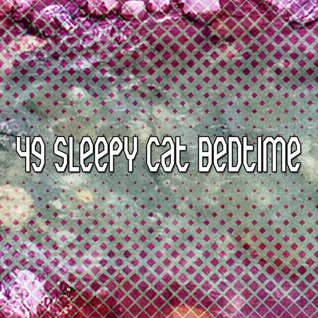 49 Sleepy Cat Bedtime