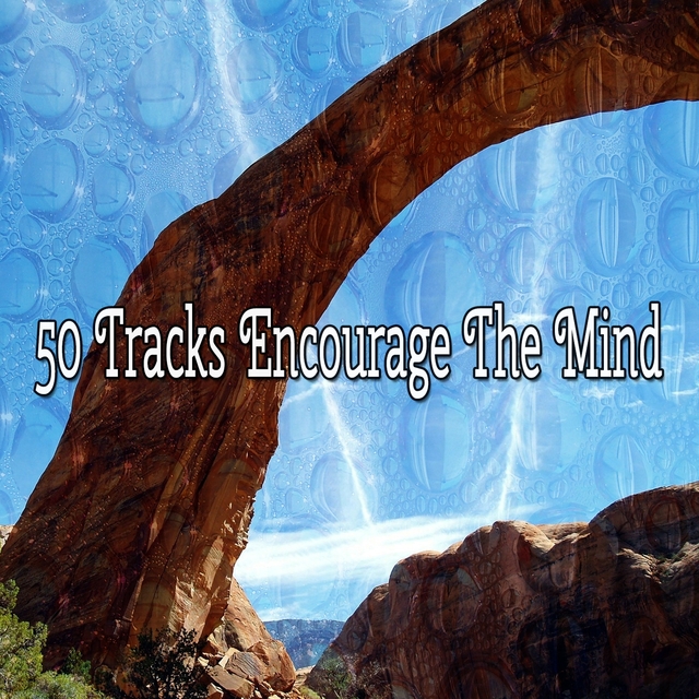 50 Tracks Encourage The Mind