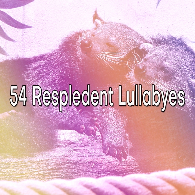 Couverture de 54 Respledent Lullabyes