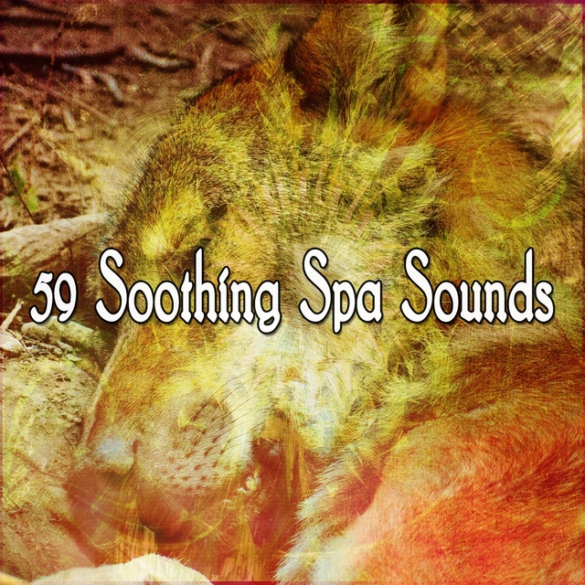 59 Soothing Spa Sounds