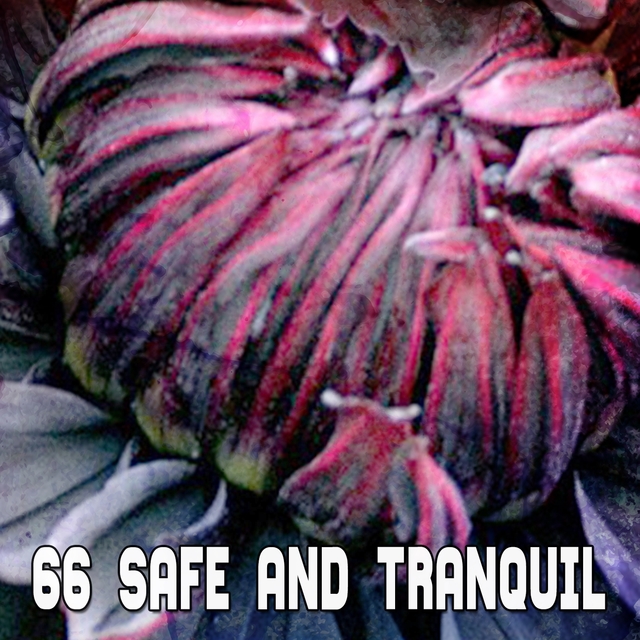 66 Safe And Tranquil