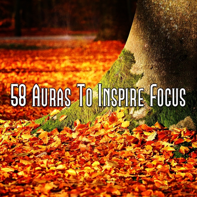 Couverture de 58 Auras To Inspire Focus