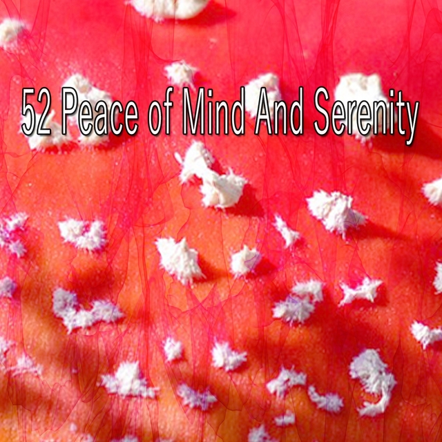 Couverture de 52 Peace of Mind And Serenity