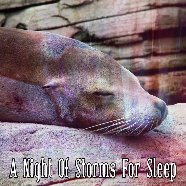 A Night Of Storms For Sleep