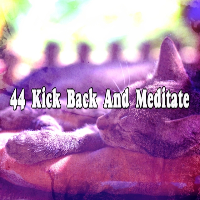 Couverture de 44 Kick Back And Meditate