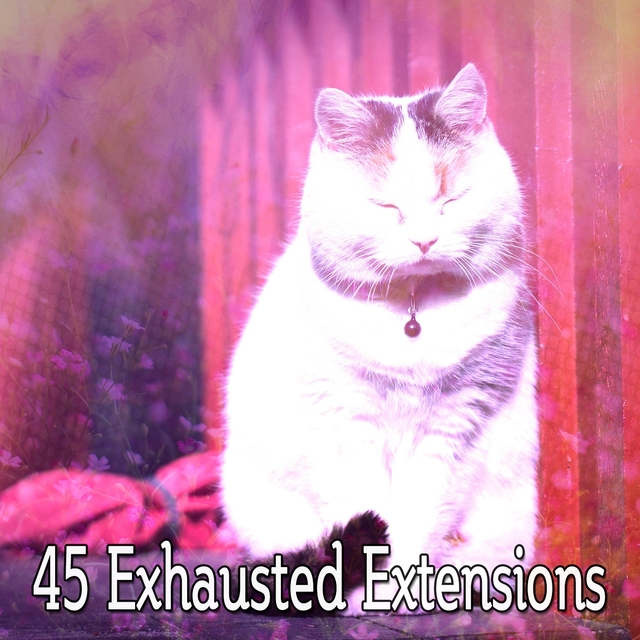 Couverture de 45 Exhausted Extensions