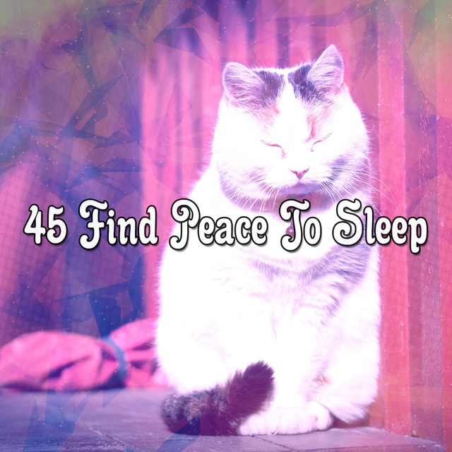 45 Find Peace To Sleep