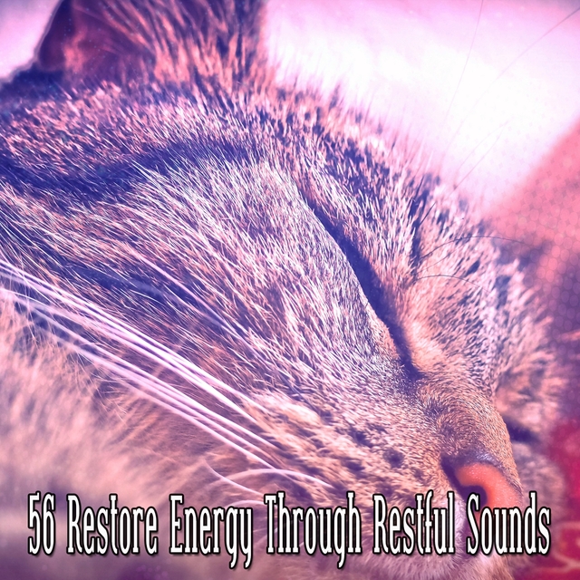 Couverture de 56 Restore Energy Through Restful Sounds