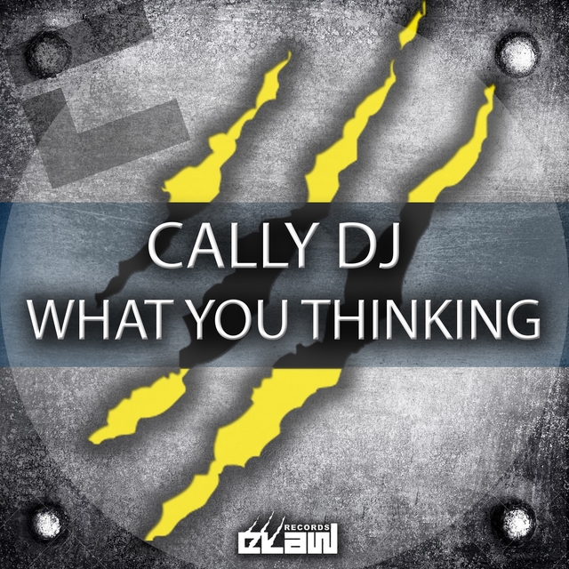 Couverture de What You Thinking