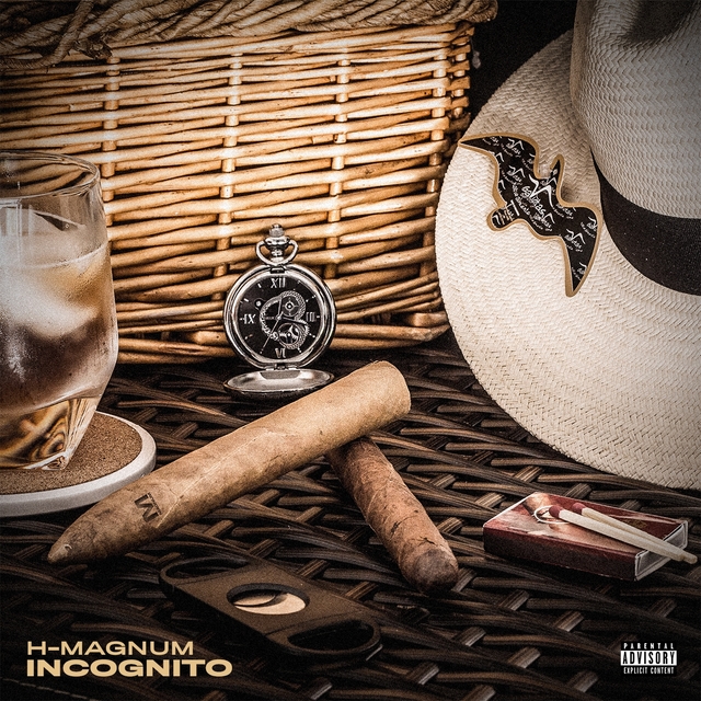 Couverture de Incognito