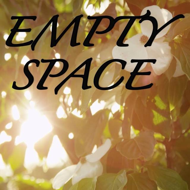 Couverture de Empty Space