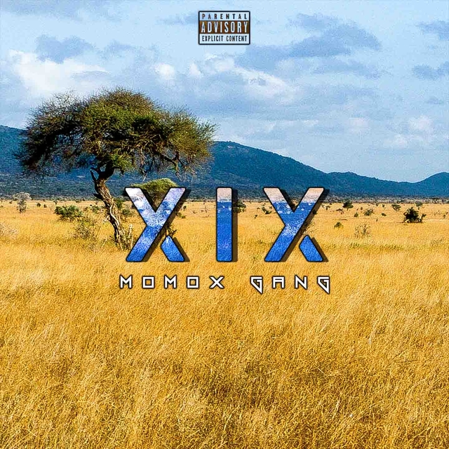 XIX