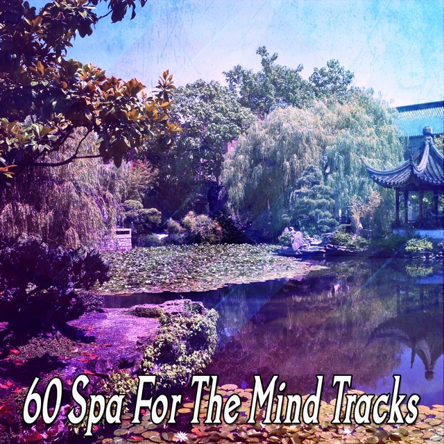 Couverture de 60 Spa For The Mind Tracks