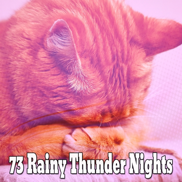 73 Rainy Thunder Nights