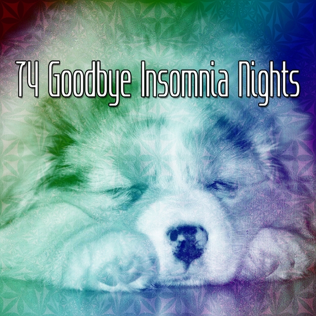 74 Goodbye Insomnia Nights