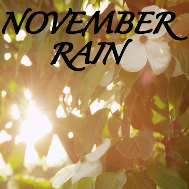 Couverture de November Rain