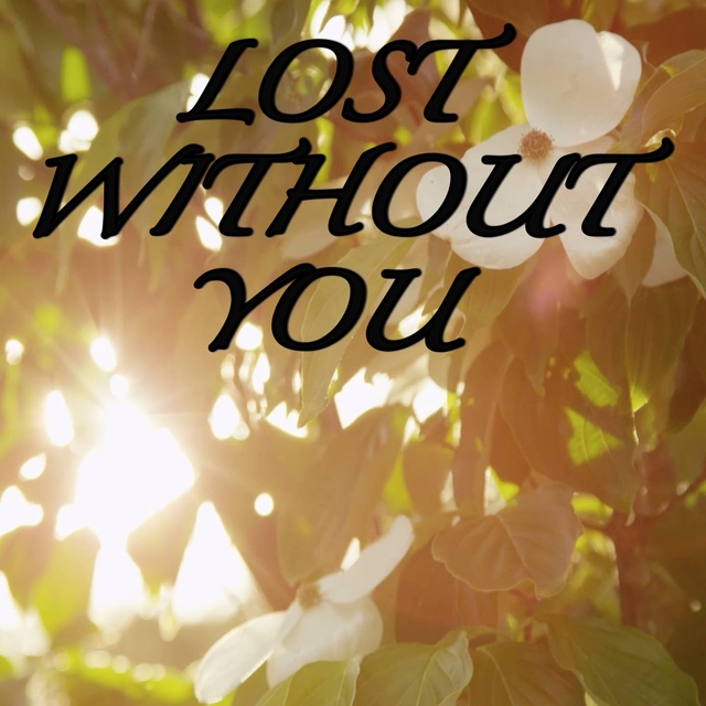 Couverture de Lost Without You