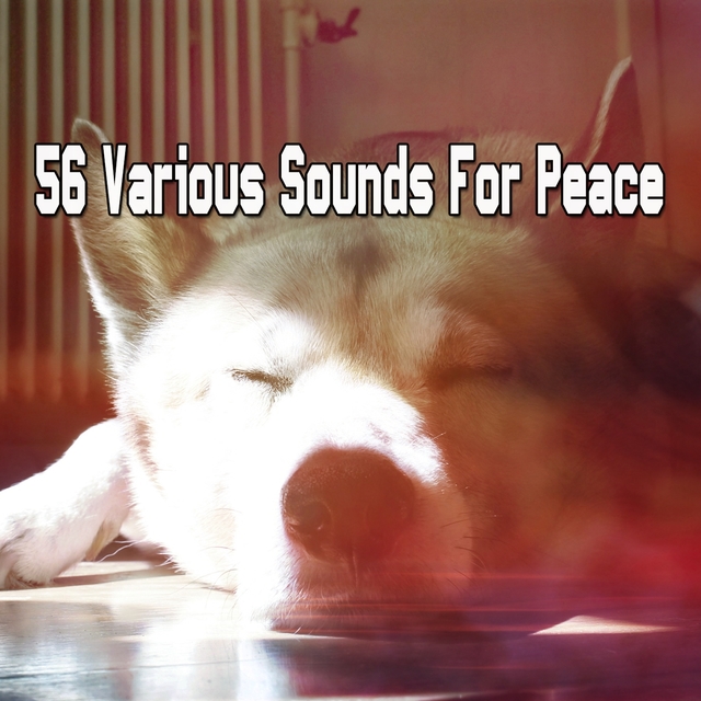 56 Various Sounds For Peace