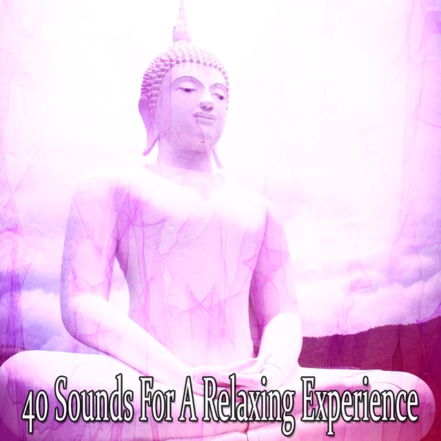 Couverture de 40 Sounds For A Relaxing Experience