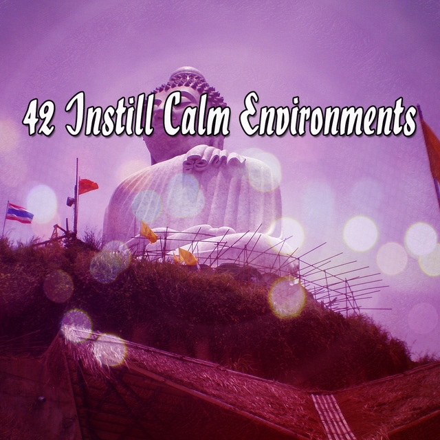 42 Instill Calm Environments