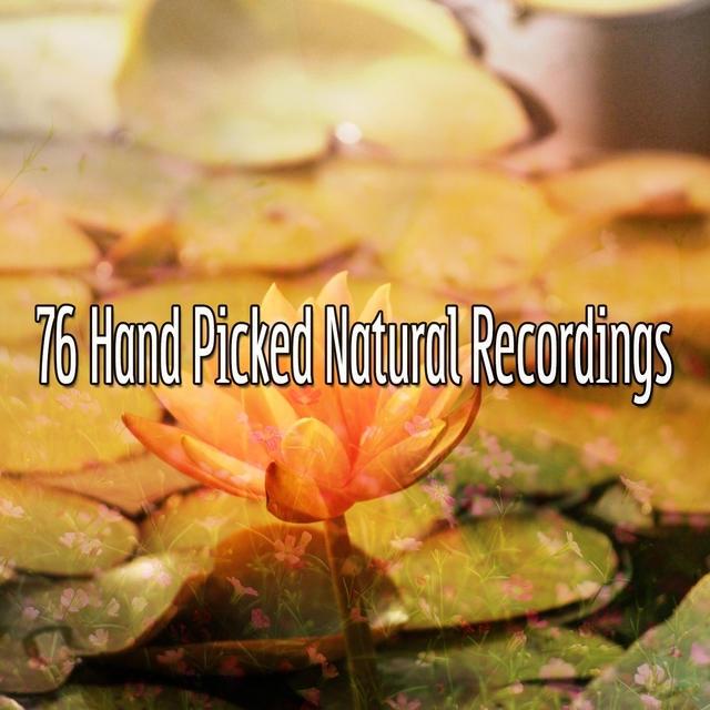 Couverture de 76 Hand Picked Natural Recordings