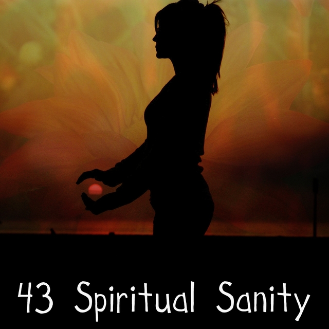 Couverture de 43 Spiritual Sanity