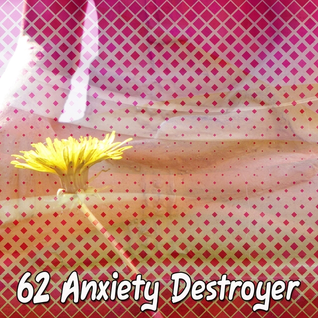 62 Anxiety Destroyer
