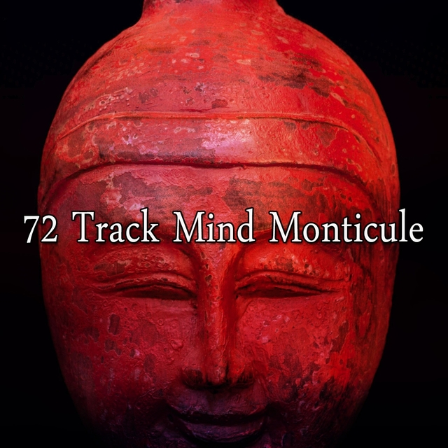 72 Track Mind Monticule