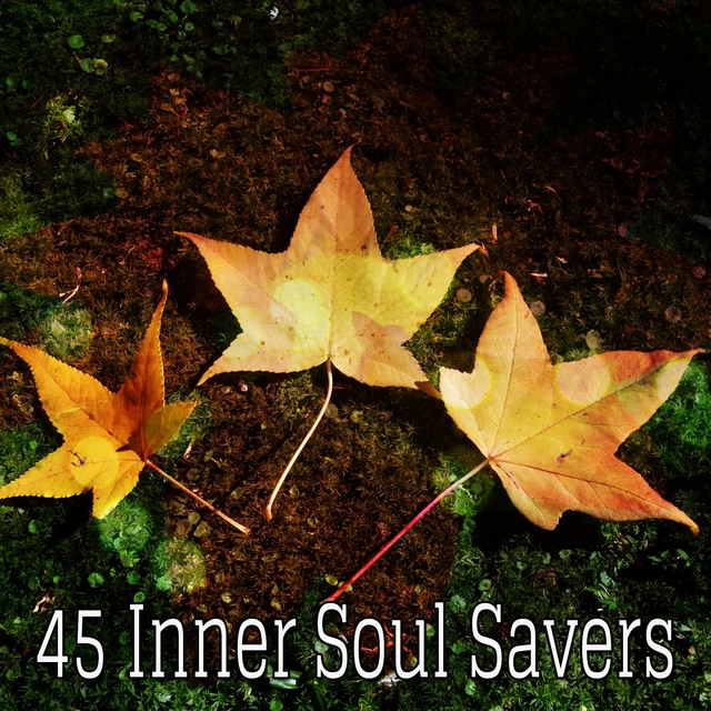 45 Inner Soul Savers