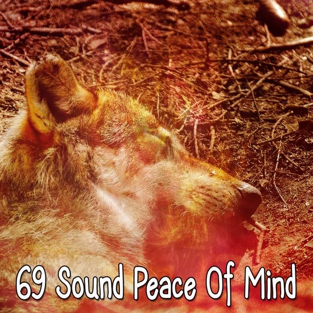 69 Sound Peace Of Mind