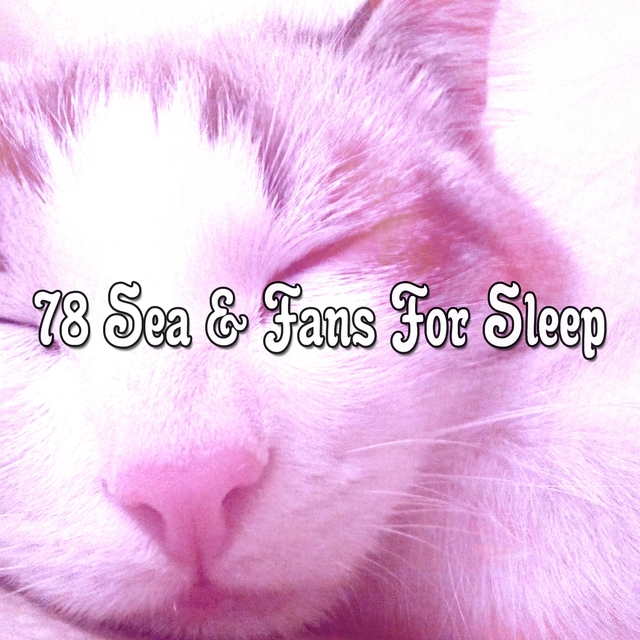 78 Sea & Fans For Sleep