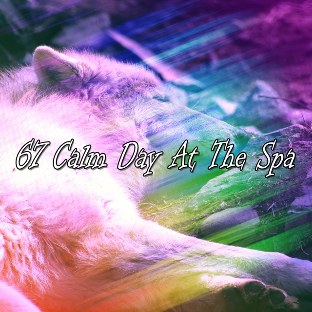 Couverture de 67 Calm Day At The Spa